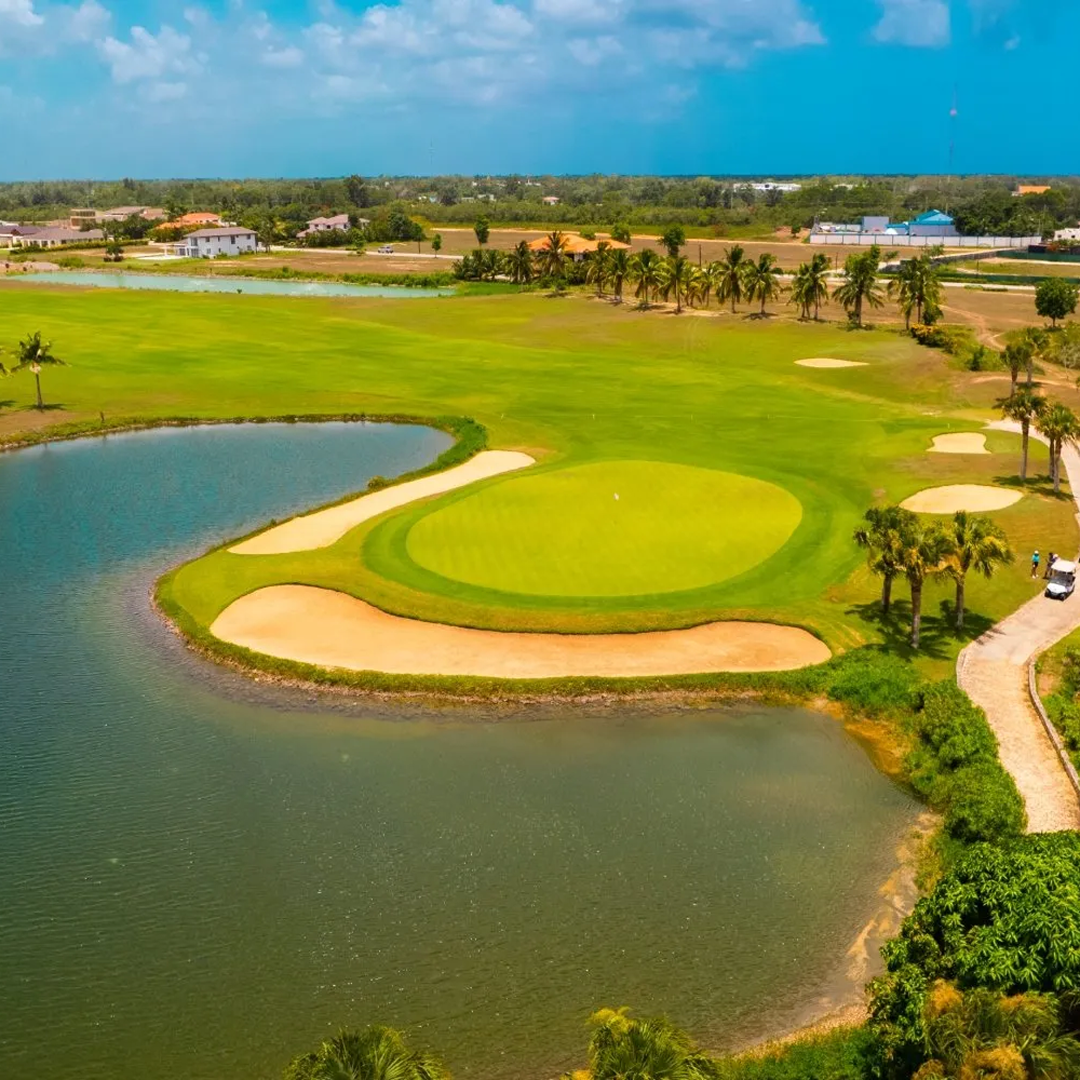 Acceso preferencial para miembros Waoo